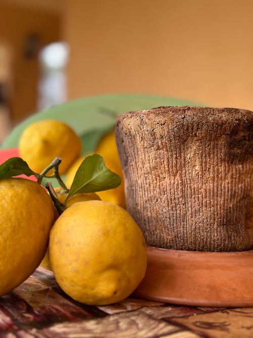 Ricotta Salata Al Forno stile Marsala