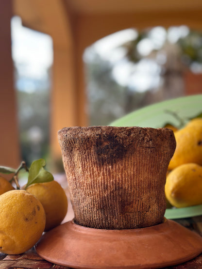Ricotta Salata Al Forno stile Marsala