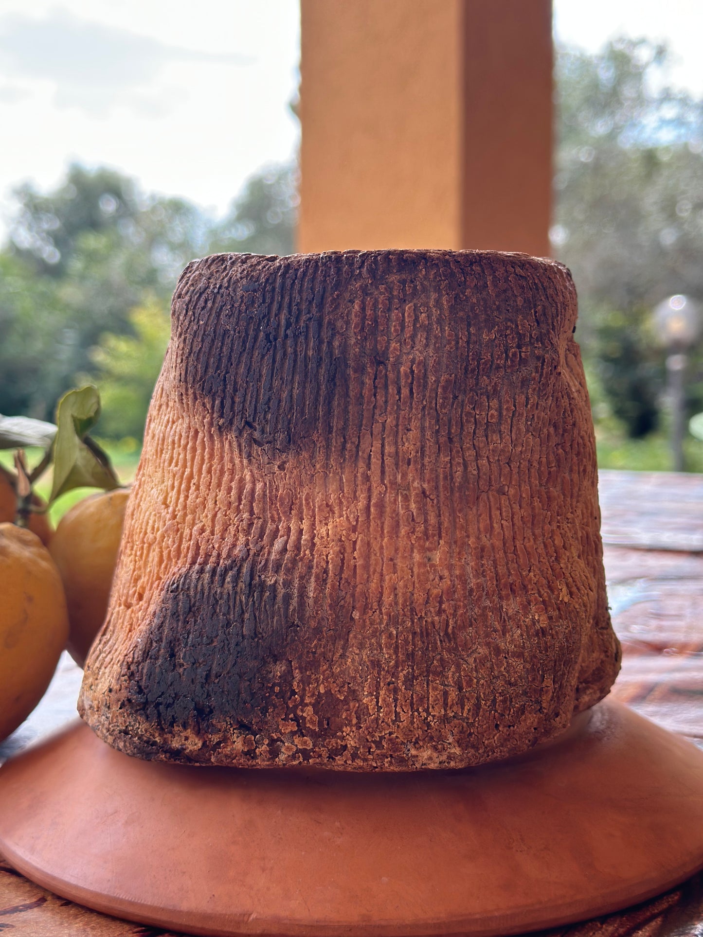 Ricotta Salata Al Forno stile Marsala