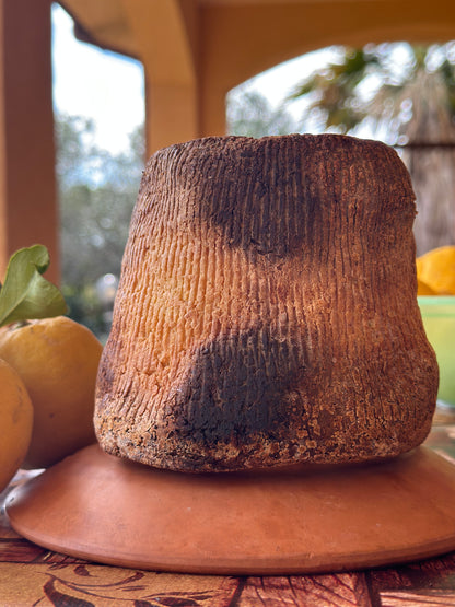 Ricotta Salata Al Forno stile Marsala