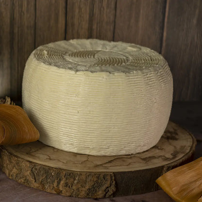 Primo Sale Bianco con Buchi